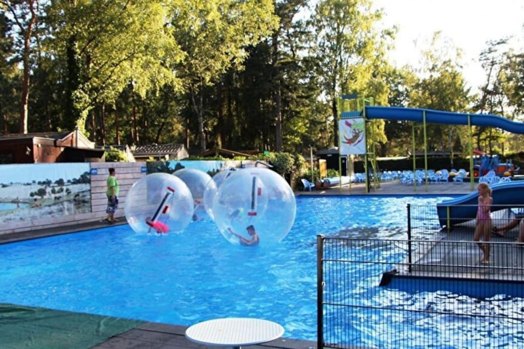 Te Huur: Leuke 4-Persoons Stacaravan Op Top Locatie! โฮนเดอร์โล ภายนอก รูปภาพ
